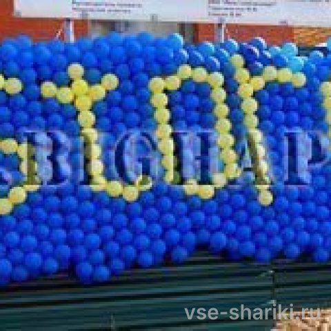 Панно с логотипом фирмы из плетёных воздушных шаров